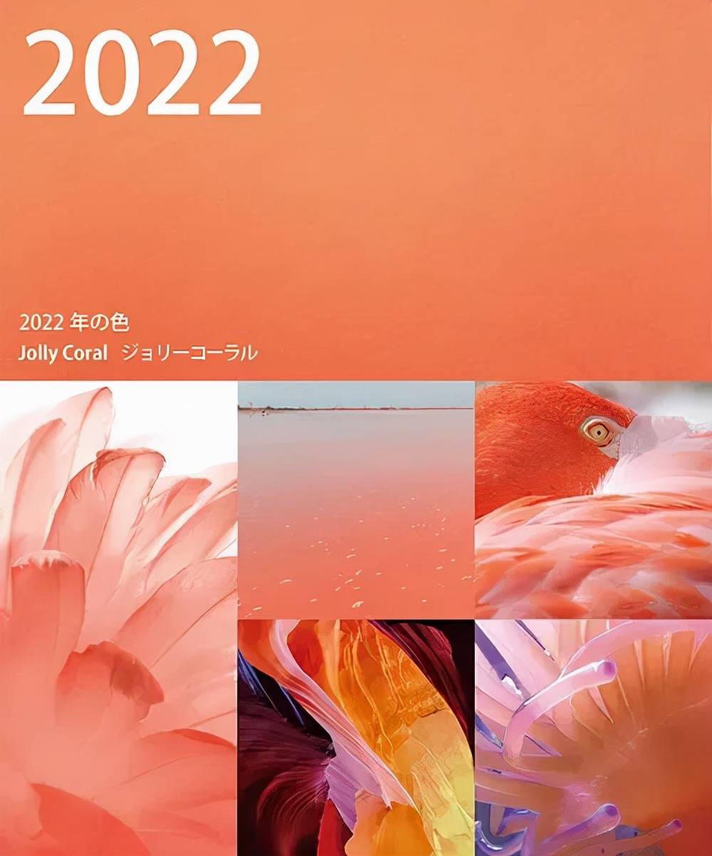 2022年流行色,你最pick哪一个?~_颜色_潘通_珊瑚