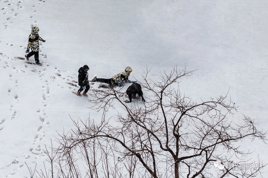 柳絮|一月一题 | 雪，让这个世界变得温柔而浪漫