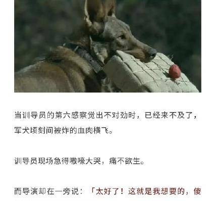 《犬王》的评分因此下降到了2.2分,导演姚守岗受到无数网友的指责.