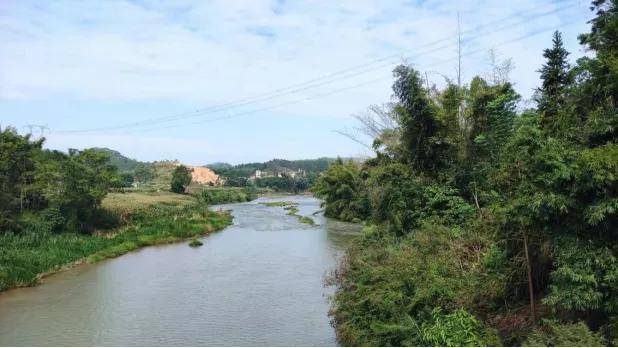 钦州市浦北县泉水镇和寨圩镇共2个旱改水项目规划设计顺利通过评审会