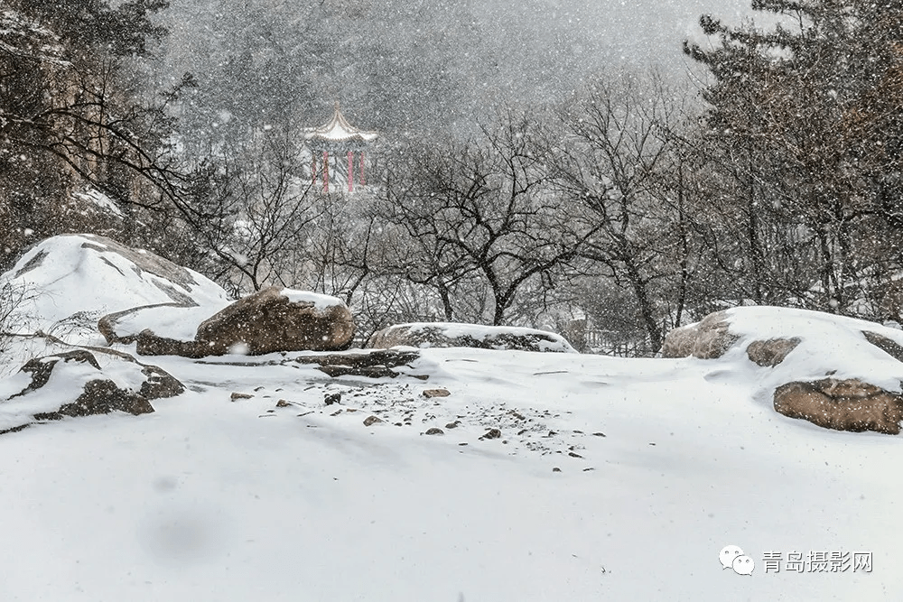 柳絮|一月一题 | 雪，让这个世界变得温柔而浪漫