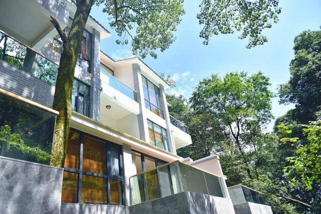 蒙顶之境丨藏在山野间的隐世民宿