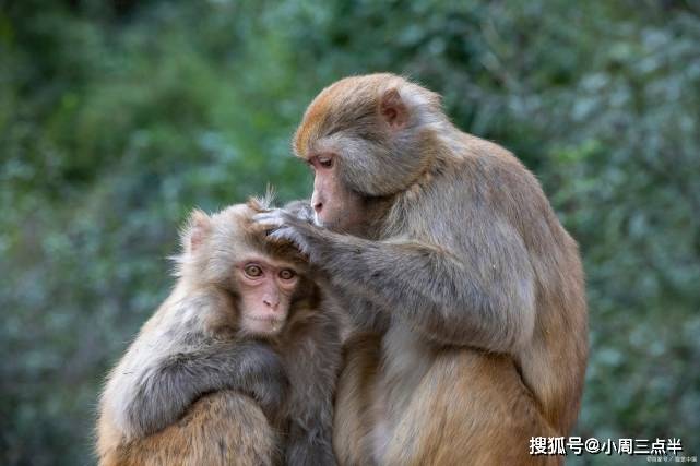 ​恋爱中的你，真是明白什么是恋爱吗？你想过吗？谈对象就是恋爱吗？