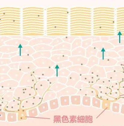 来例假打水光针怎么办