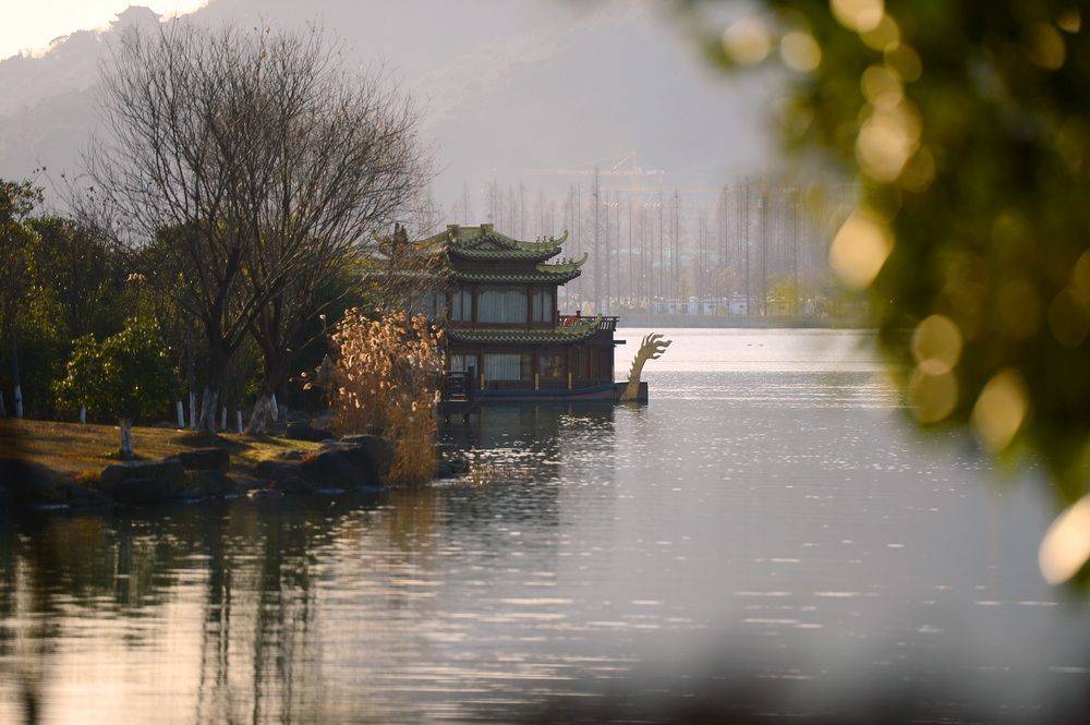 山川|杭州湘湖，芦花正好，天寒之日忆旧年