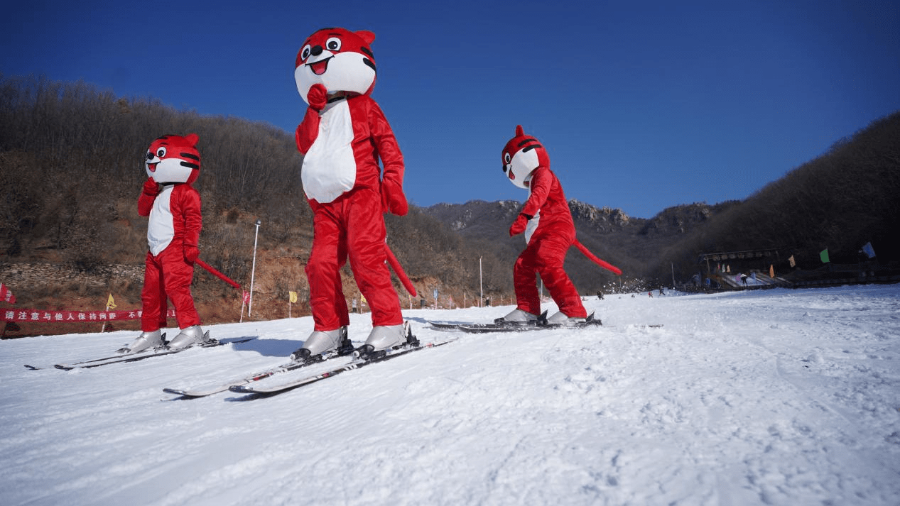 河南禹州大鸿寨群虎滑雪迎新年