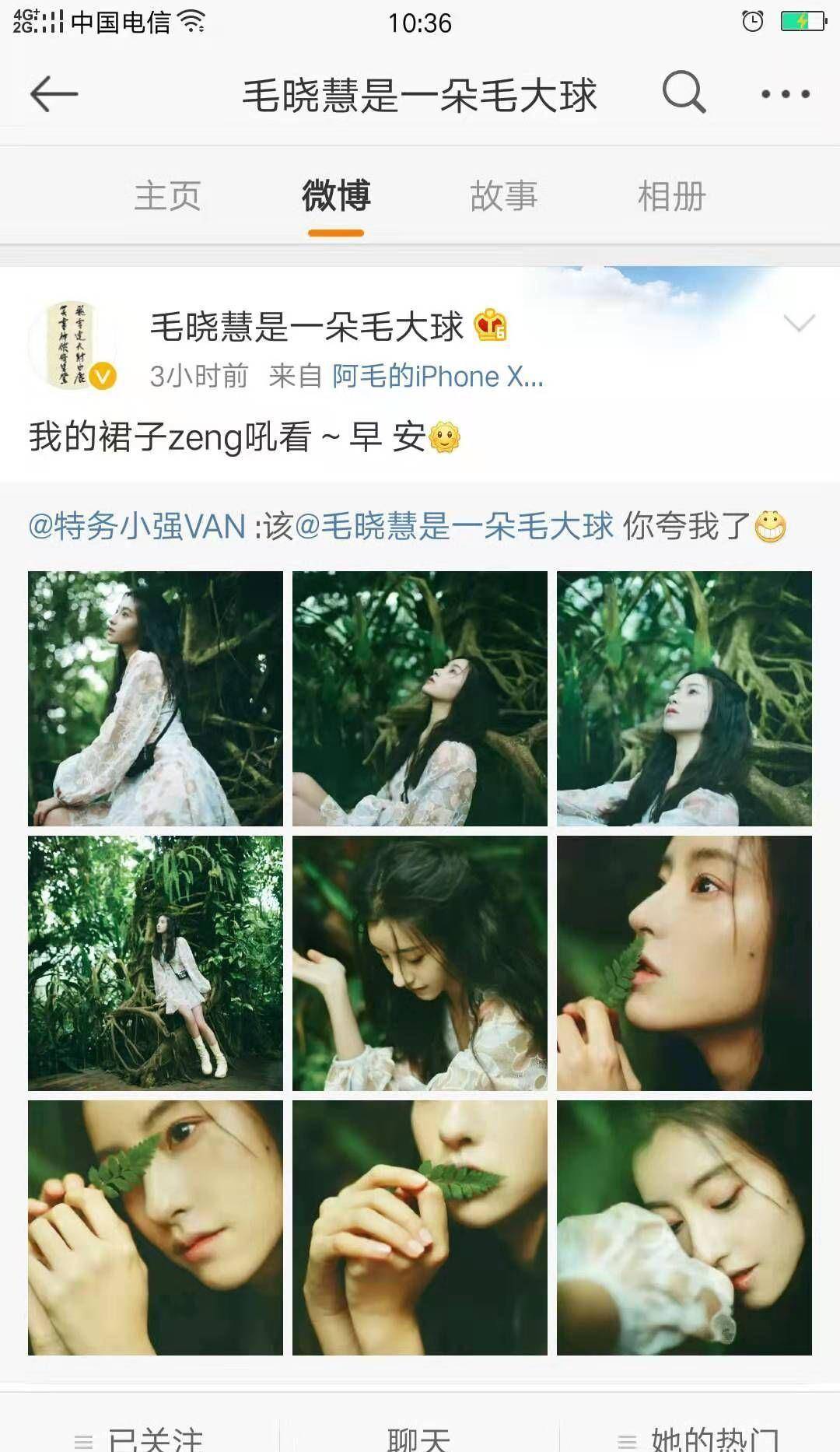 新版小龙女毛晓慧写真流出 画面唯美仙气飘飘 被赞像林中精灵 花木槿 森林 演艺圈