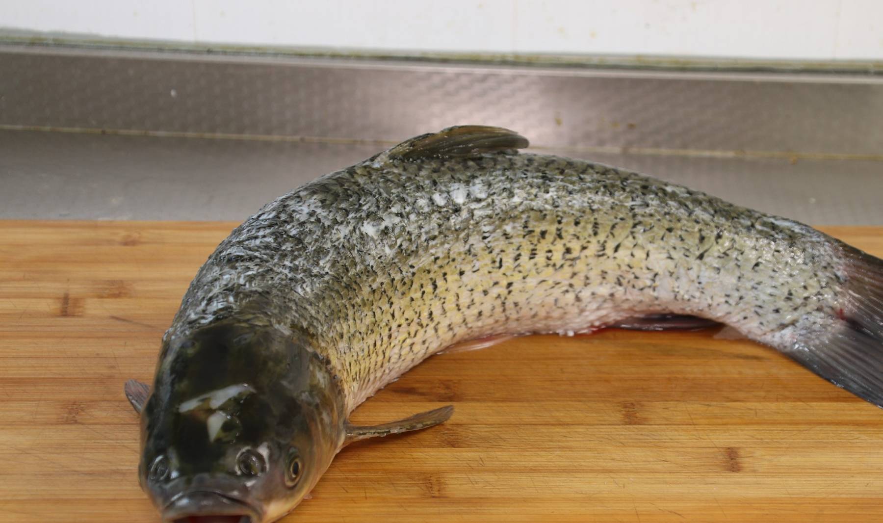 怎么快速解冻鱼最快最好 fc3fd33f0c0041929af8d6c8dc7fb7a3.jpeg