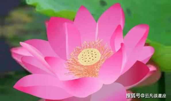 1312b3fd8bc44191ad1b64a2fd8d74c3.png
