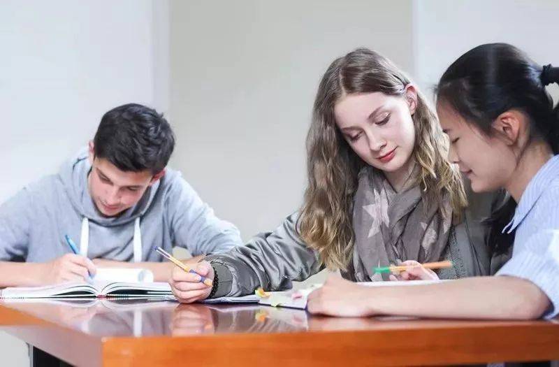 德國教育不要求所有孩子都要上大學