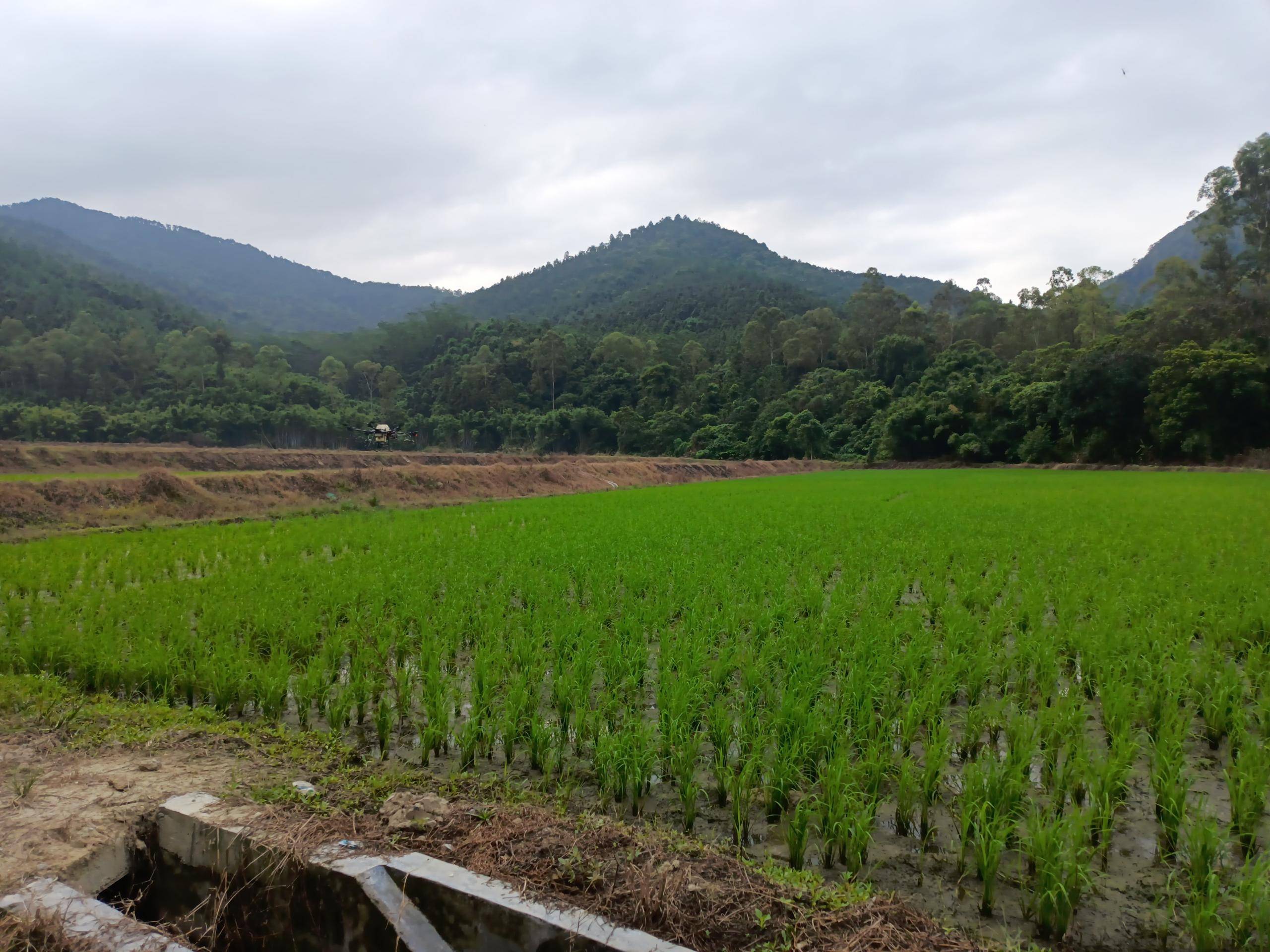 建设美丽乡村垦造水田篇394