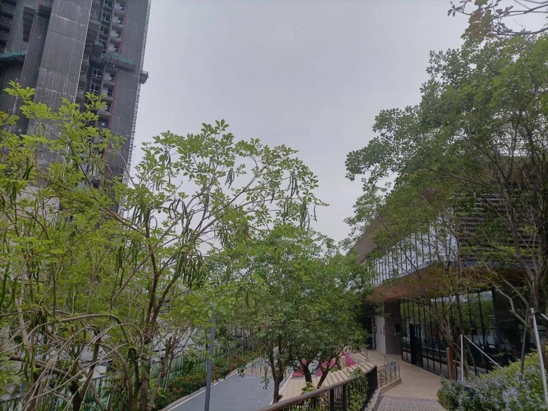 茗院】售楼处电话-价格-位置-配套-楼盘最新动态【官网】_西丽_项目