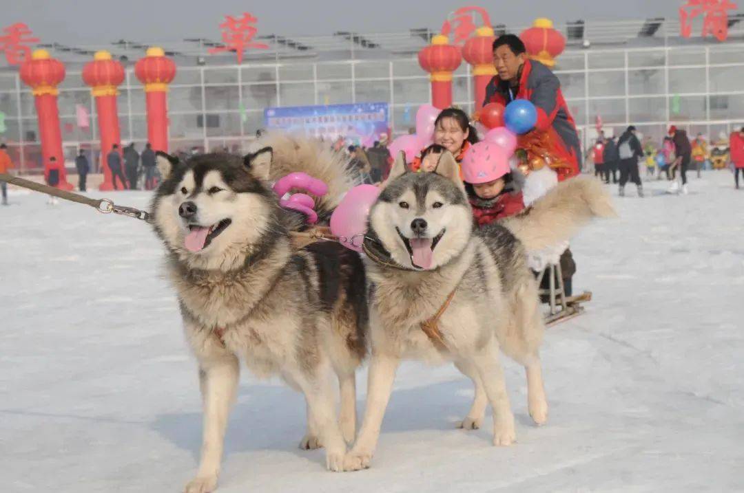 冬奥|一起滑雪迎冬奥，占据冬季C位的滑雪场出道即巅峰！