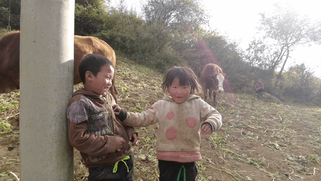 反馈|【爱心反馈】志愿者为孩子们送去了好吃的零食