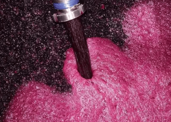 六大|克维利：2022喝606，让你人生六六大顺