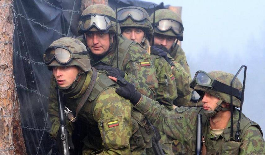 蚂蚁向大象挥舞拳头?