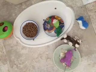 丢碗的寓意 d859bfc969e74ddea8c234a28fe7b368.jpeg