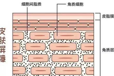 叛逆离谱丨冬天这是我见过最叛逆的事情了。。。。。。