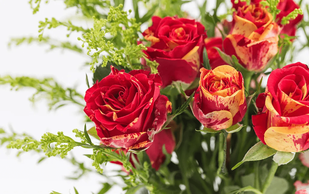 花艺插花丨花的自然美 艺术 花卉 大自然