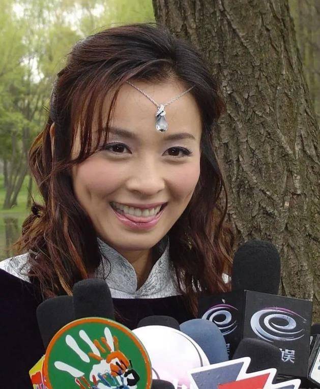 靠着《戏说乾隆》中小鱼儿一角成名后,张庭的演艺事业开始直线上升.