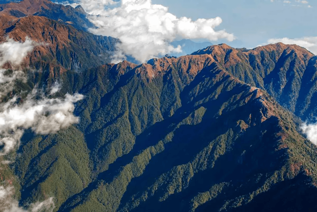 走进高黎贡山探索它不为人知的一面