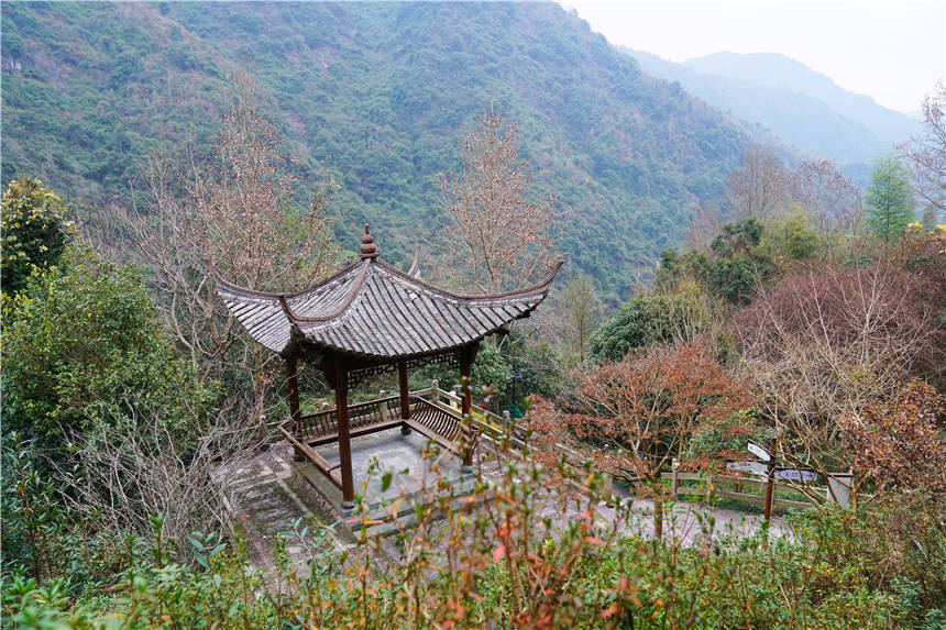 泰顺|浙江温州有个神秘的泉眼，藏在峡谷之间，常年水温62度，国内罕见