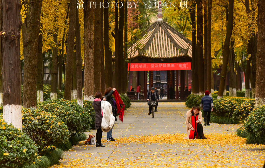 榜单|成都厉害了！成功超越北京上海广州重庆杭州，晋升未来之城第一名