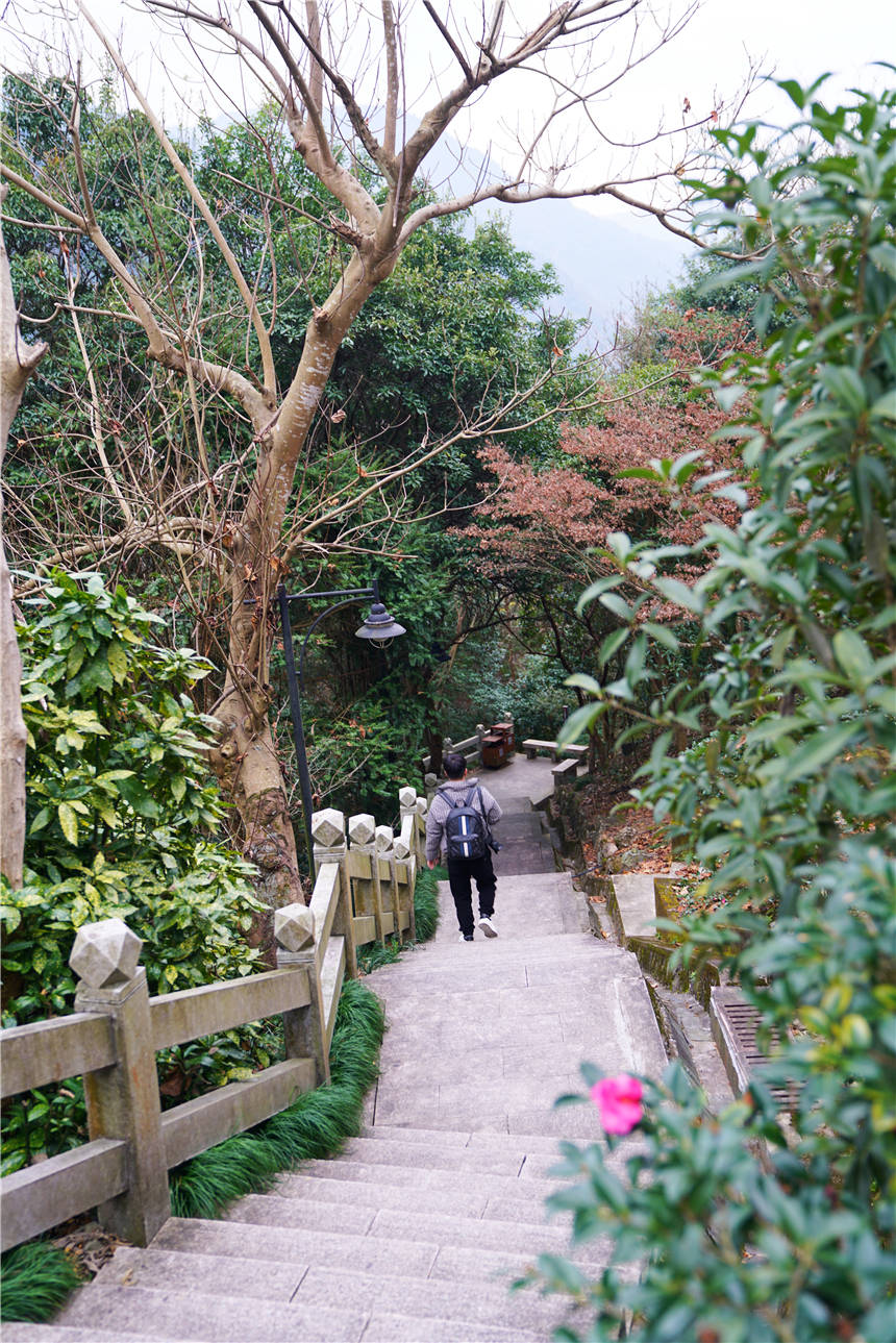 泰顺|浙江温州有个神秘的泉眼，藏在峡谷之间，常年水温62度，国内罕见