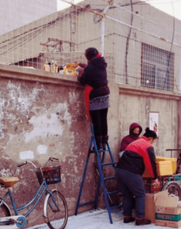 校园|教育部发布通知，中小学校园将取消这项“服务”，家长喜忧参半