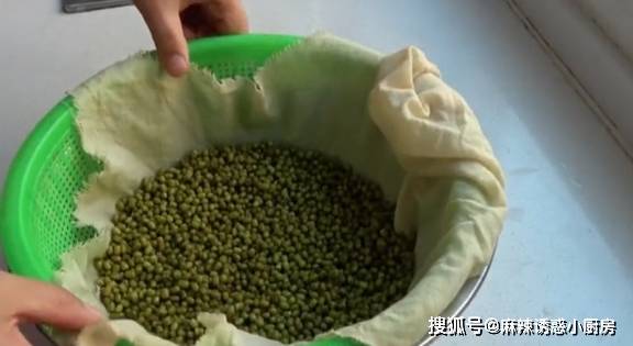 在家怎样生绿豆芽 af6d8248f9624d33b81e4b9902c551d6.jpeg