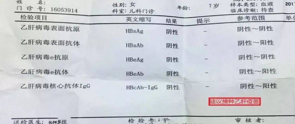 乙肝抗体检查单怎么看图片