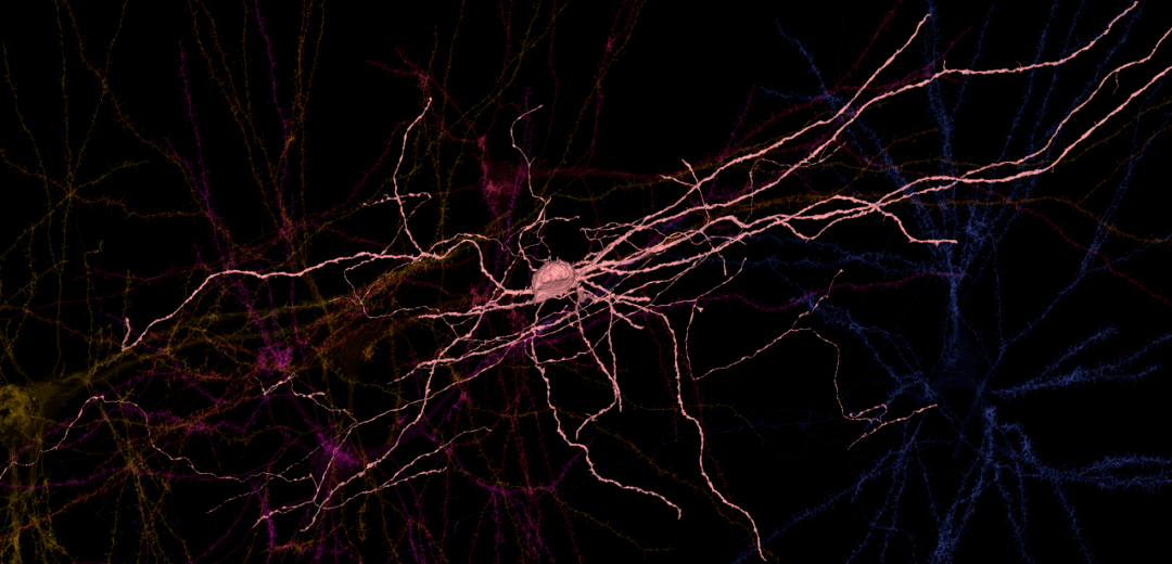 Jeff Dean长文展望：2021年之后，机器学习领域的五大潜力趋势