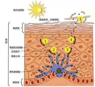 新生美白项目如何护理？“全阶倍护”带来沉浸式护肤体验！