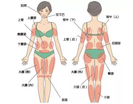 捷径李波主任：吸脂这条捷径，真能实现轻松「躺赢」吗？