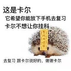 你可能真的低估了大学挂科的负面影响!_要求_学分制_成绩