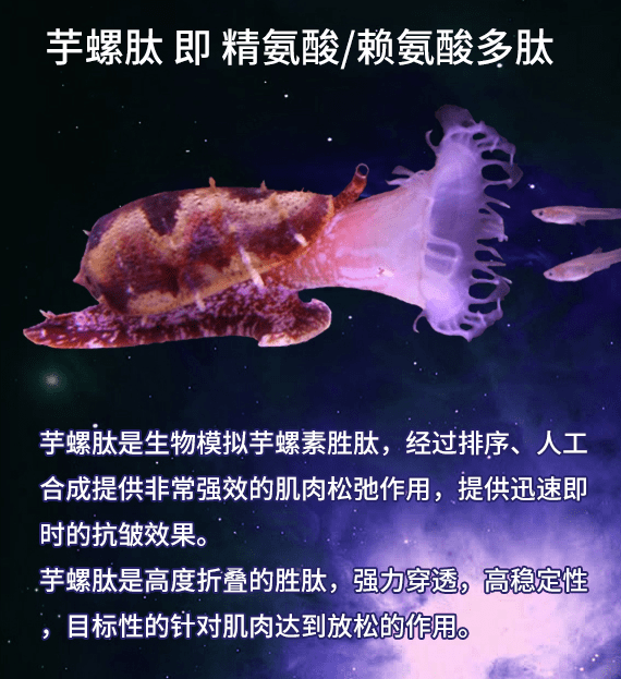 的作用精氨酸赖氨酸多肽是芋螺肽吗？十大最有效抗衰老成分（内行分享）