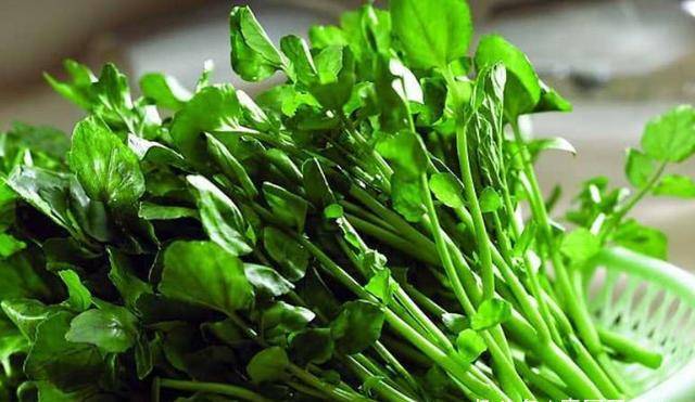 为什么有人不吃蔬菜也没事 d5d1918f77a340d9a859102c832779d8.jpeg