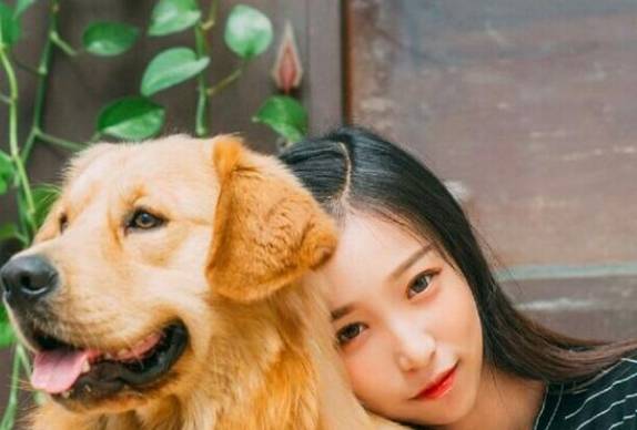 养狗不一定要很有钱 教你6个 省钱大法 穷人也能养狗 狗狗 玩具 费用 养狗不一定要很有钱 教你6个 省钱大法 穷人也能养狗 狗狗 玩具 费用