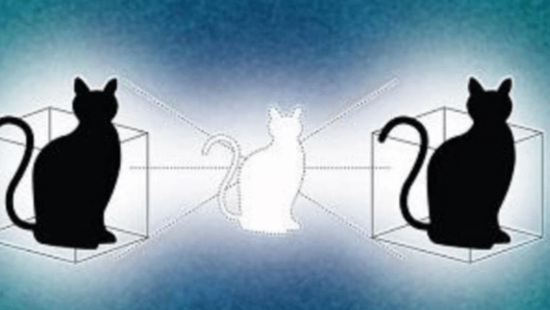 f251aee1d3da40fcbf66e8389b072968.png
