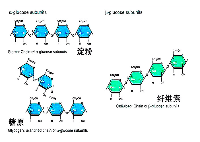 什么叫做碳市场 032c5a0f08904db583b4151501fa4341.png