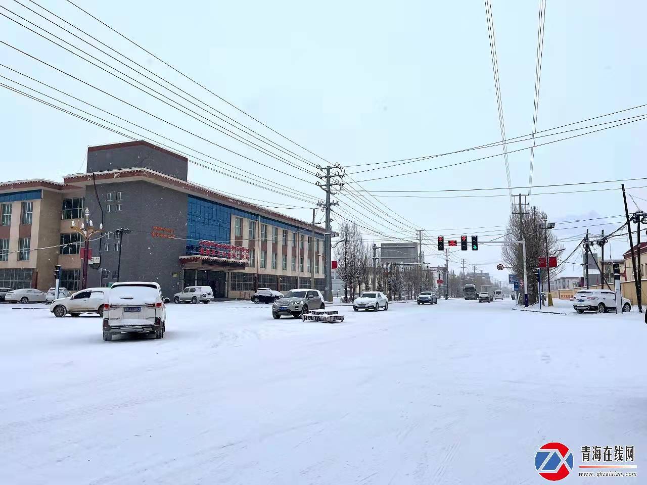 赏雪景啦！囊谦县城落了一场近十年来最大的雪