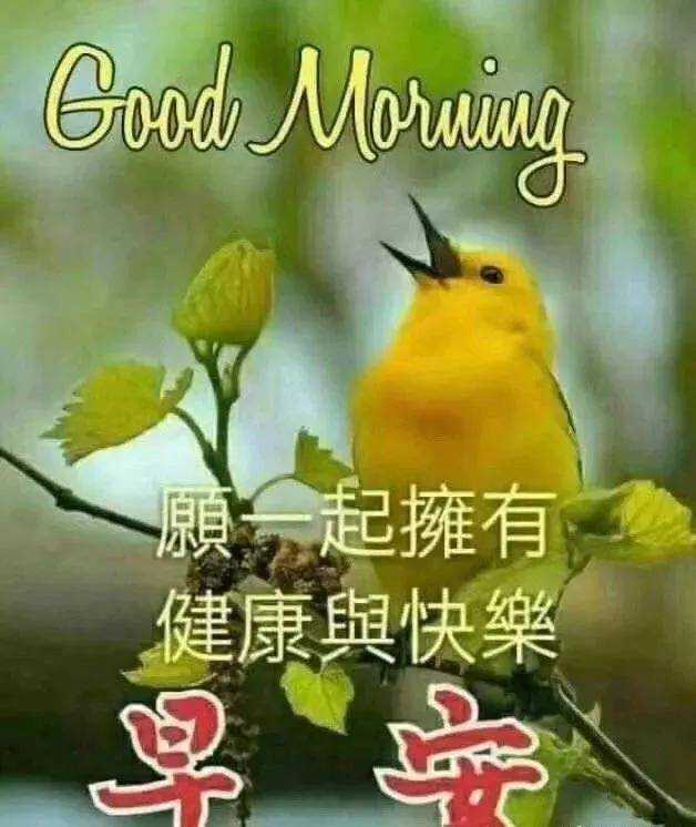 a3f92d0445f341e3a9ac97d555516eee.jpeg
