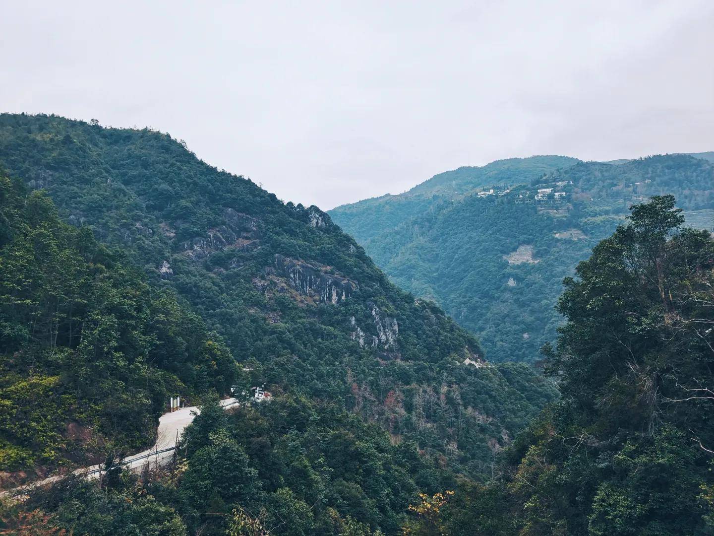 空气|泰顺氡泉经过了38万年时间，来华东大峡谷开启寻找泉眼之旅