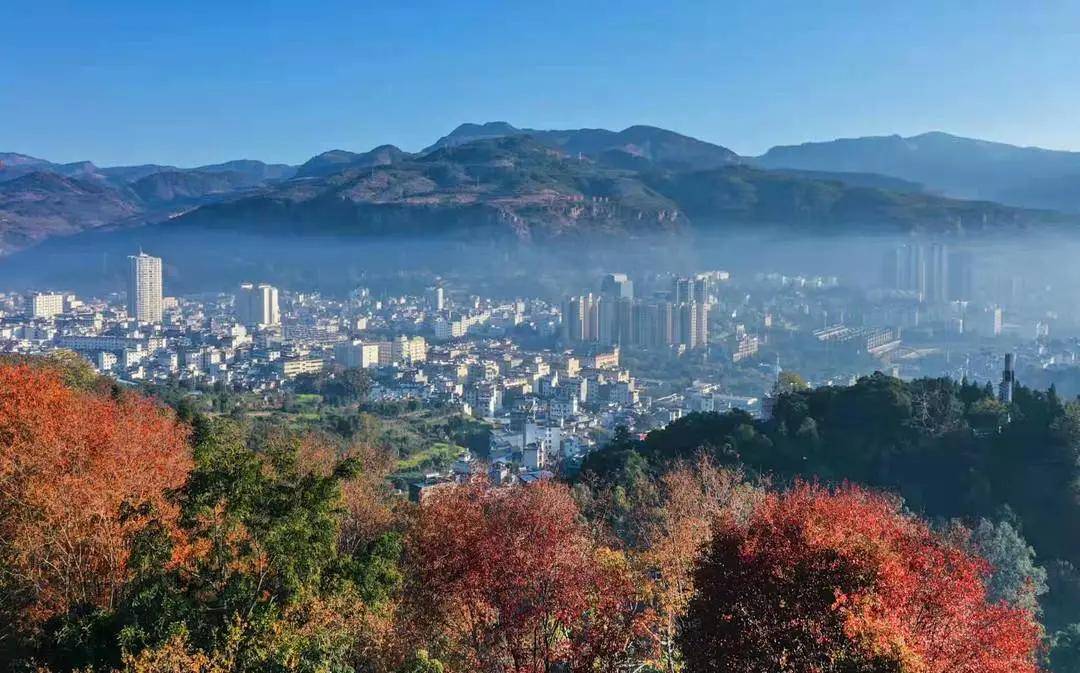 丽江华坪聚力三张牌打造高原特色现代农业和全域康养旅游两个百亿级