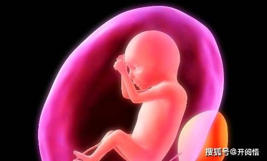 新生儿什么时候可以看清楚东西 e7044315ba5f4104a38edcdca3b1e516.jpeg