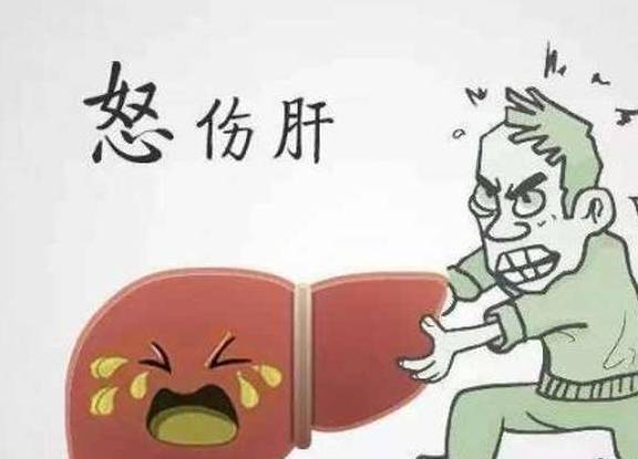 6c23dc6f8a594d7ea6bdb5b65b2e5003.jpeg