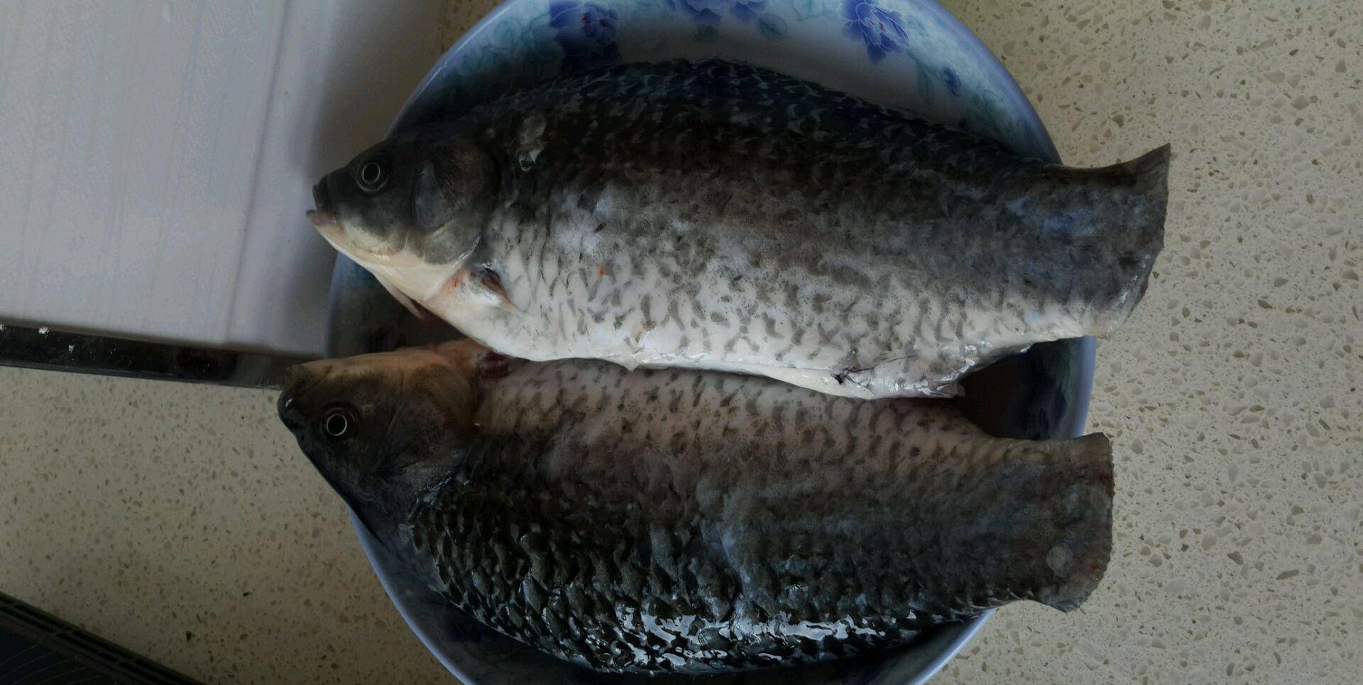 鱼肚子里的黑膜是什么能吃吗 da3042c7a8d24493961d362240e0663d.jpeg