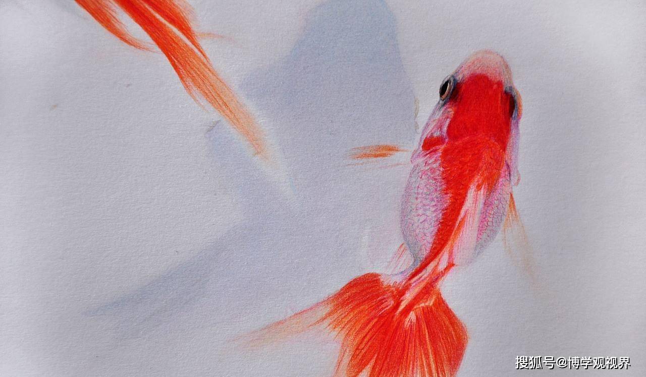 女人梦见捉到金鱼，解梦之旅的神秘启示