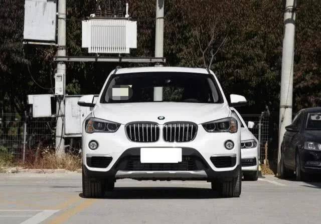 宝马品牌排行_1月销量前十五排名:自主品牌全面崛起,宝马成豪华品牌最大赢家(2)