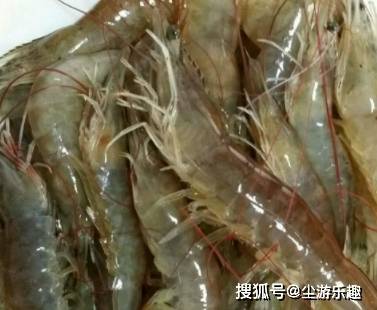 怎么解冻虾保鲜 04581e6d72454ca7b8206da6c413e40e.jpeg